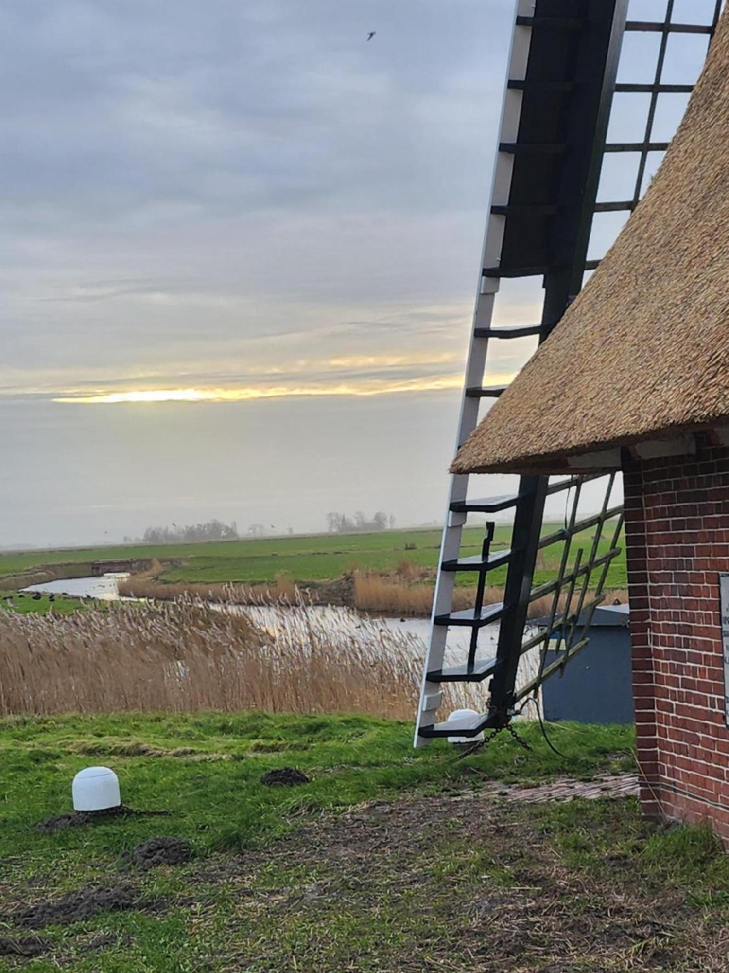 In Het Mooie Friesland Vele Bezienswaardigheden Hantum Dış mekan fotoğraf