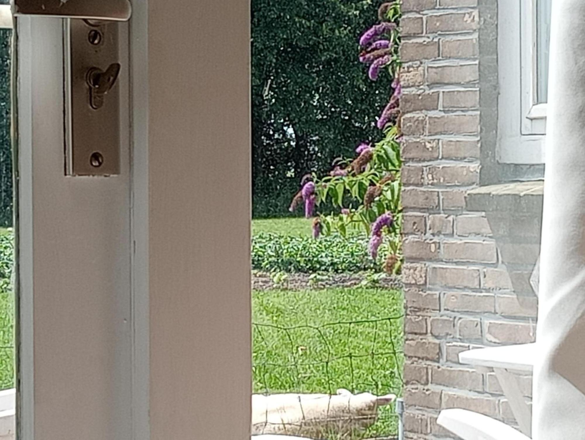 In Het Mooie Friesland Vele Bezienswaardigheden Hantum Dış mekan fotoğraf